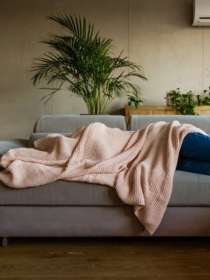 Menopause Programme